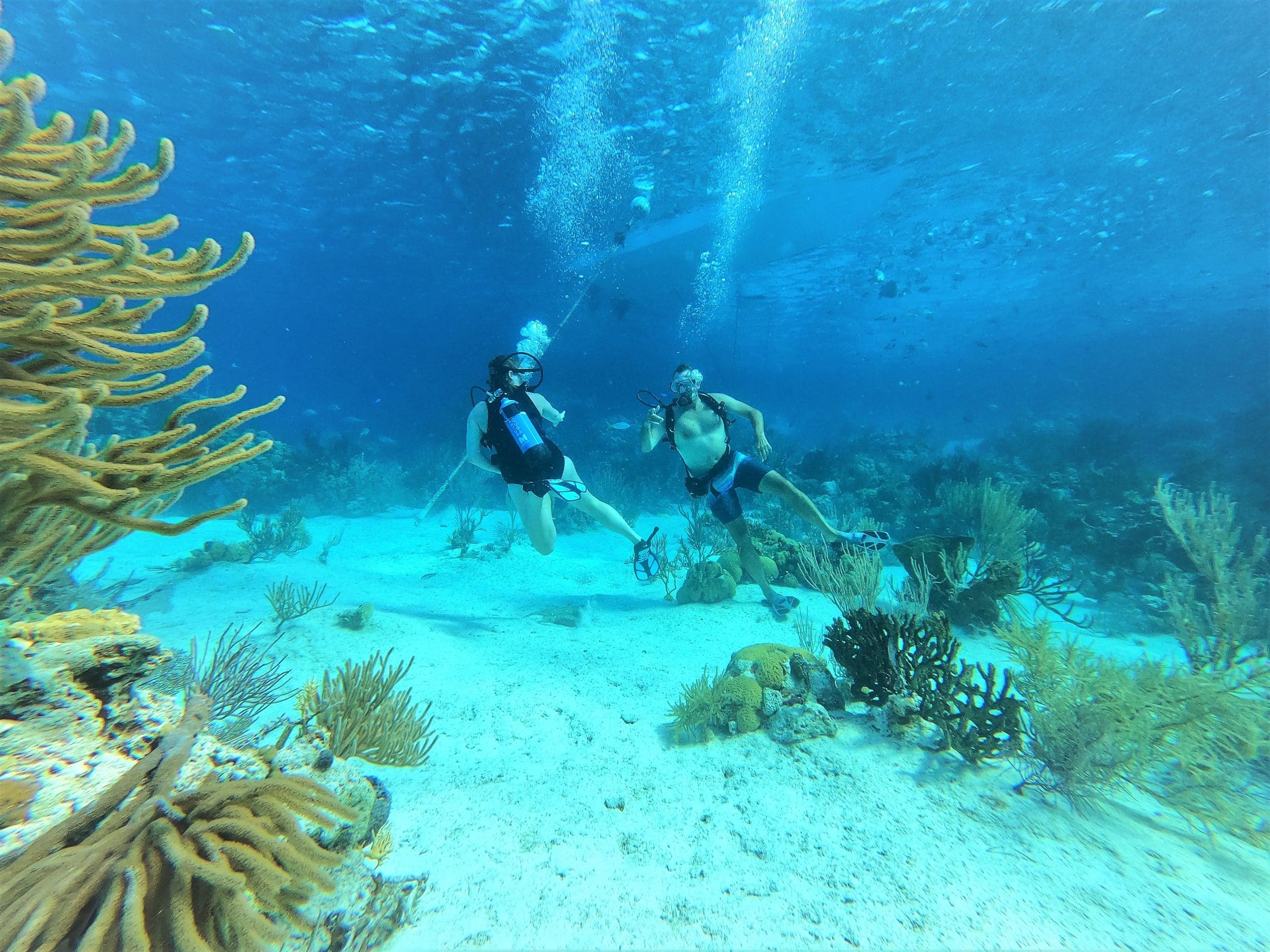 Exuma Cays Adventures Diving